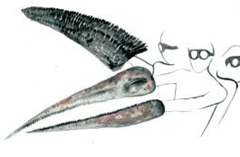 Teres Bartůňková