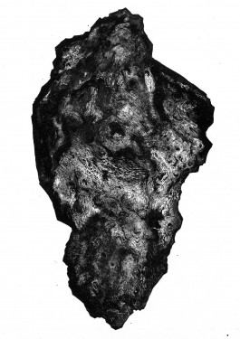Teres Bartůňková