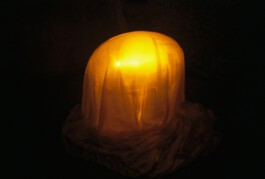Teres Bartůňková