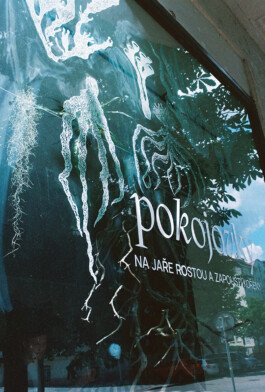 Teres Bartůňková