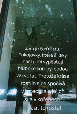 Teres Bartůňková
