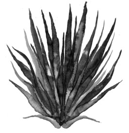 Teres Bartůňková