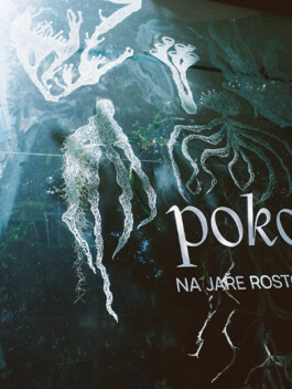Teres Bartůňková
